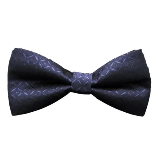 Noeud Papillon