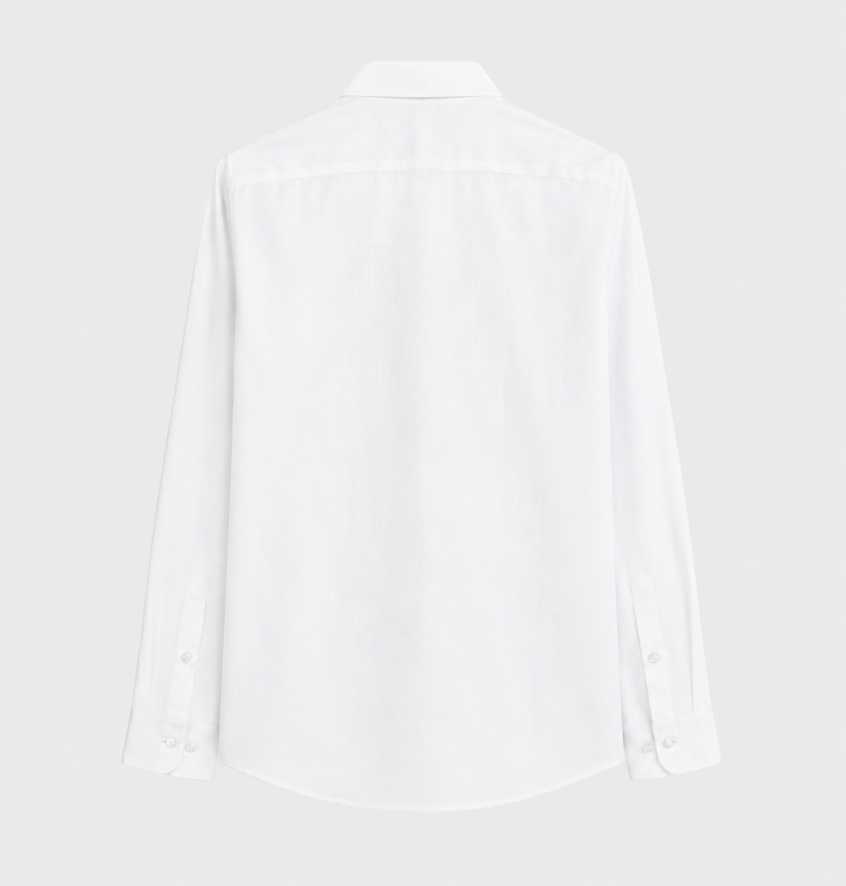 Camisa clásica Tommy